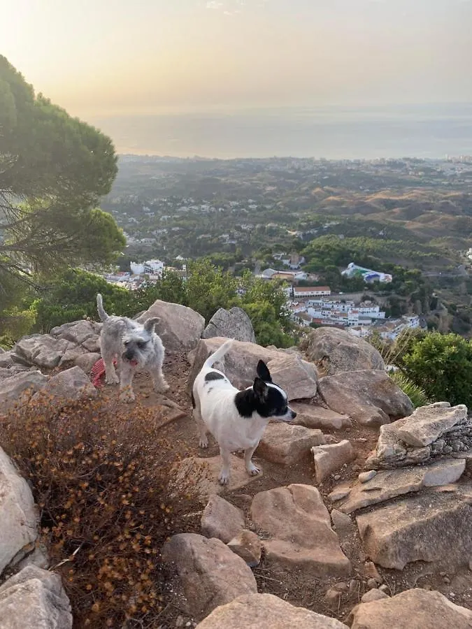 Central Apartment With A View Mijas
